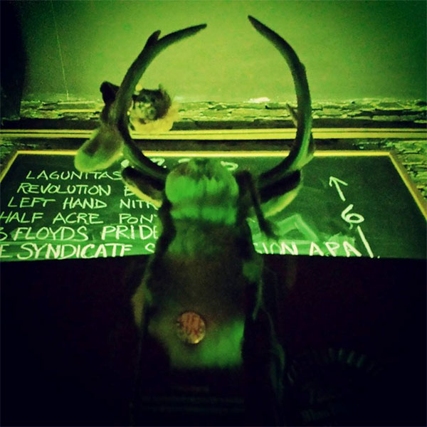 Mr. Turbo the jackalope!